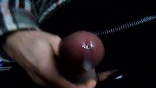 Sega dedicata a Claudiasalentina