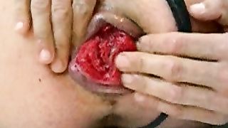 Ordini della Padrona...