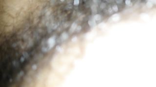 SVUOTA PALLE AMATORIALE