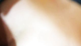 Ex Italiana in mostra pronta per il nettare