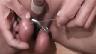 Tortura testicolare con aghi