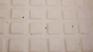 Mi sego nella doccia