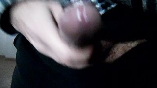 Sega dedicata a Dafi16