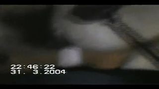 Napoletana scopata e filmata: super amatoriale!!!