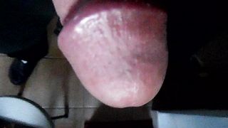 Sega dedicata a Fabione81Roma