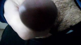 Sega dedicata a Francesca_Corani