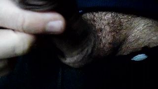 Sega dedicata a Francesca_Corani