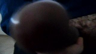 Sega dedicata a Francesca_Corani