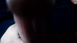 Sega dedicata a Francesca_Corani