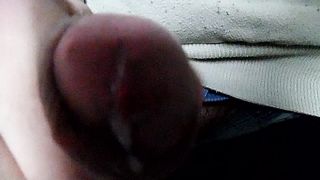 Sega dedicata a Lucano