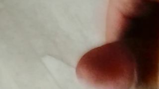 Chi lo vuole? Parte 2