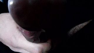 Sega dedicata a Pemelatravmestre