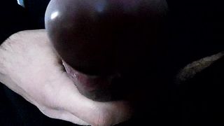 Sega dedicata a Pemelatravmestre