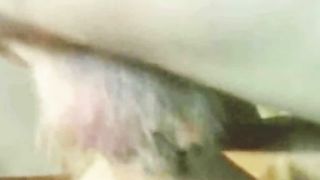 Prima le scopo la bocca e poi il culo