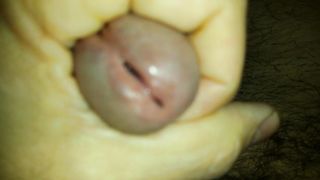 LA CAPPELLA CHE SUCCHIA LA MIA TROIA