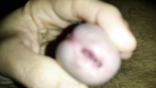 LA CAPPELLA CHE SUCCHIA LA MIA TROIA