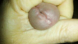 LA CAPPELLA CHE SUCCHIA LA MIA TROIA