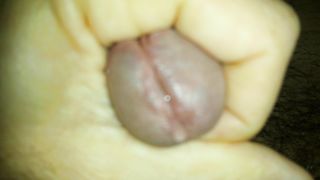 LA CAPPELLA CHE SUCCHIA LA MIA TROIA