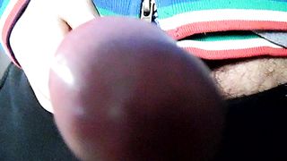 Sega dedicata a Elena35