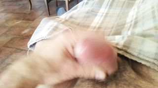 In mancanza di fica.....