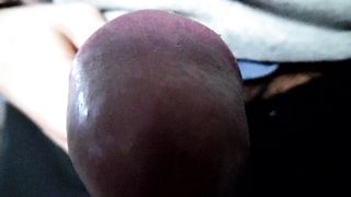 Sega dedicata a Porca12 Parte 2