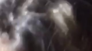 Un'altra bella porca...