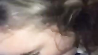 Un'altra bella porca...