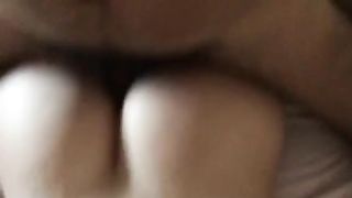 Inculata pomeridiana