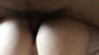 Inculata pomeridiana