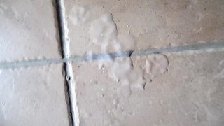 Sega dedicata a Ladysexy22