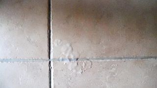 Sega dedicata a Ladysexy22