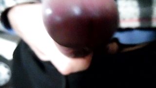 Sega dedicata a _Giulies