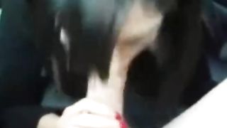 Pompino da golosa fidanzata bruna