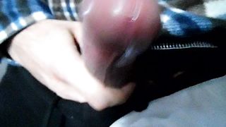 Sega dedicata a Frama4