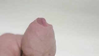 Contributo per Vale...