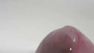 Contributo per Vale...