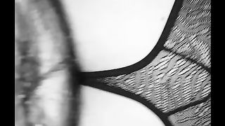 Scopando a  90 gradi