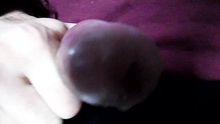 Sega dedicata a Vogliosi85