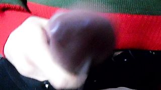 Sega dedicata a Licantropa.trans88