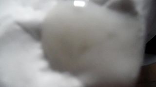 Sega dedicata a Licantropa.trans88