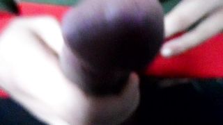 Sega dedicata a Licantropa.trans88