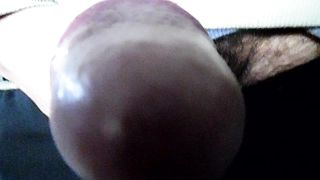 Sega dedicata a PORCA16