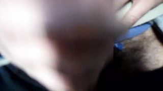 Sega dedicata a PORCA16