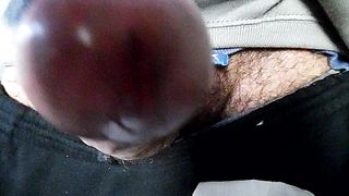 Sega dedicata a Sole