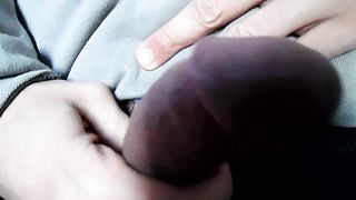 Sega dedicata a Sole