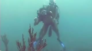 Un'immersione di piacere...