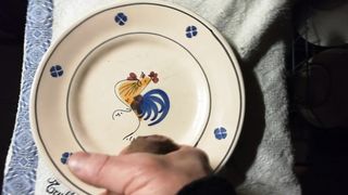 Sega con sborrata sul piatto