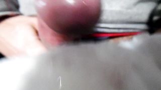 Sega dedicata a LaLeti94