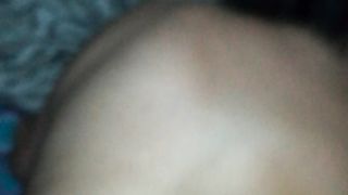 SCOPO PATRIZIA A PECORINA