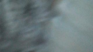 SCOPO PATRIZIA A PECORINA